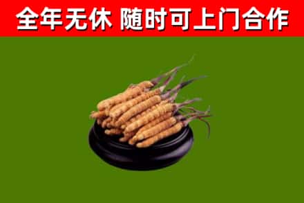 涵江烟酒回收冬虫夏草.jpg